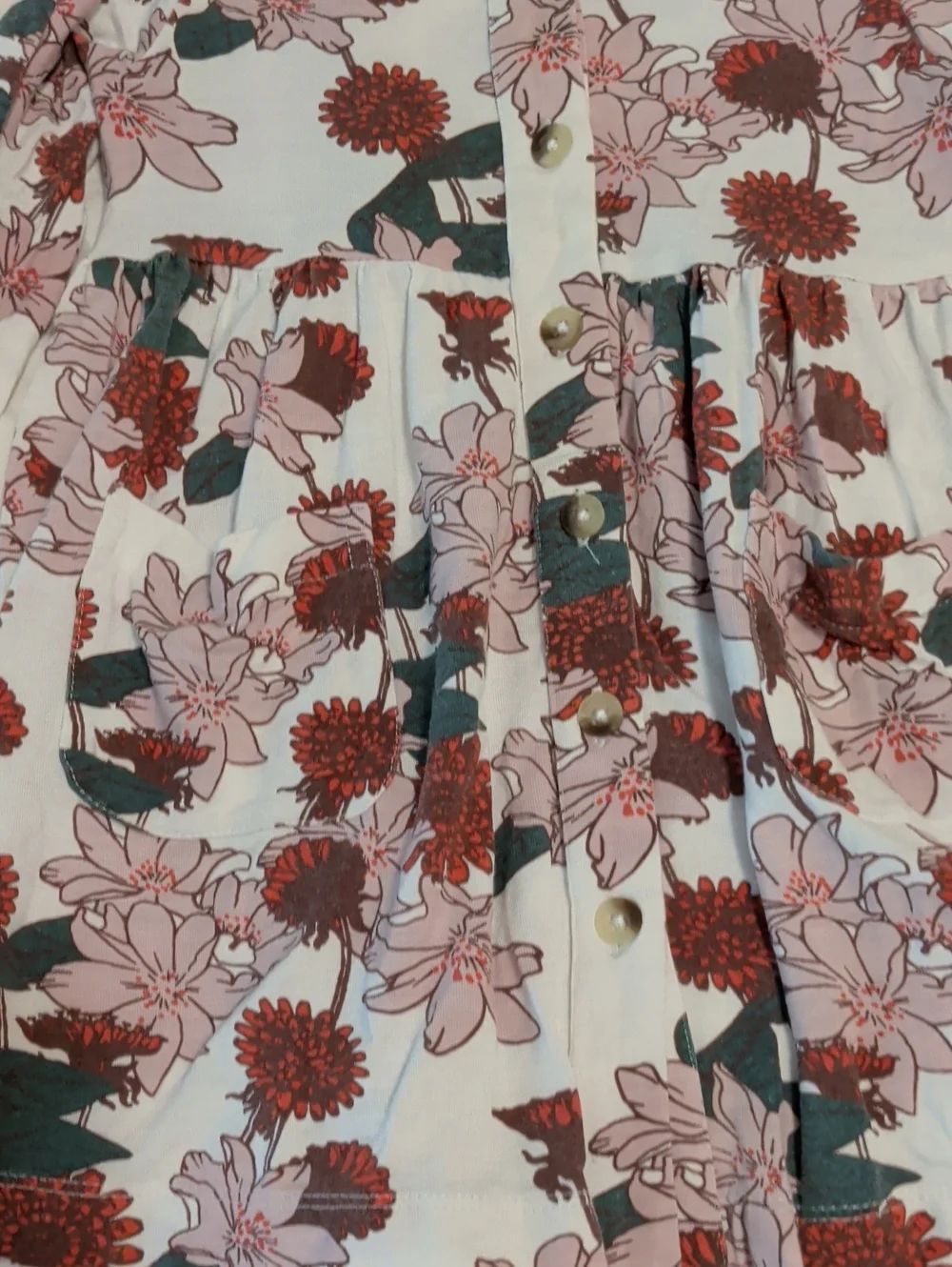 Kids Floral Button-Front Dress - Pink & Red